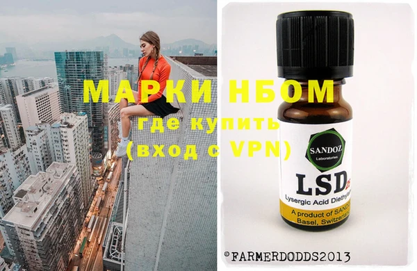 гашик Надым