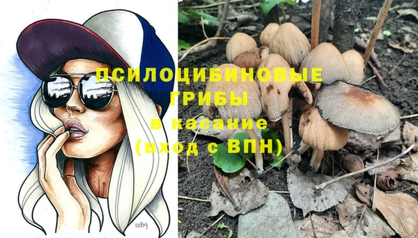 гашик Надым