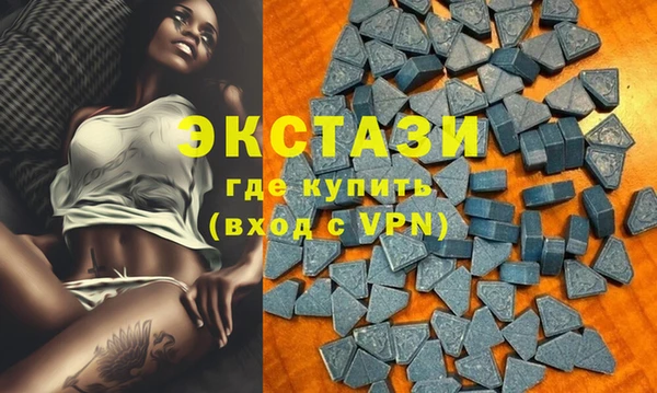 гашик Надым